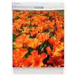 Load image into Gallery viewer, Orange Poppies Magnet Skin on White Dishwasher
