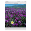 Load image into Gallery viewer, Peek a Boo Daisy Magnet Skin on White Dishwasher