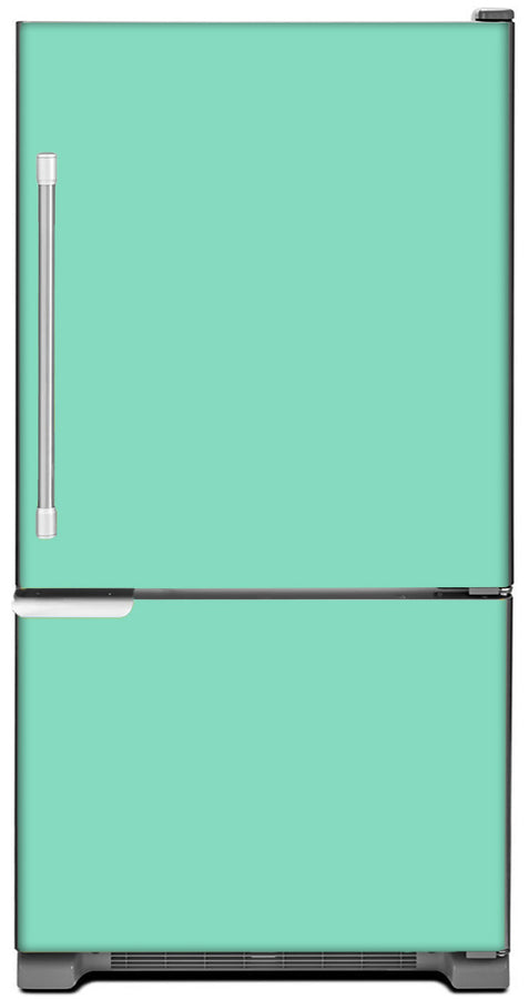  Aqua Green Color Magnet Skin on Model Type Bottom Freezer Refrigerator 