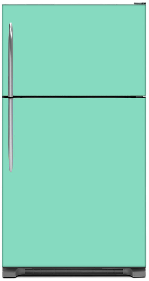  Aqua Green Color Magnet Skin on Model Type Top Freezer Refrigerator 