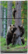 Load image into Gallery viewer, Bear Family Magnet Skin on Model Type Top Freezer Refrigerator
