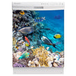 Load image into Gallery viewer, Coral Reef Fish Magnet Skin on White Dishwasher
