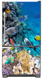 Load image into Gallery viewer, Coral Reef Fish Magnetic Refrigerator Cover Panel Skin Wrap on Fridge Model Type Bottom Freezer Fridge
