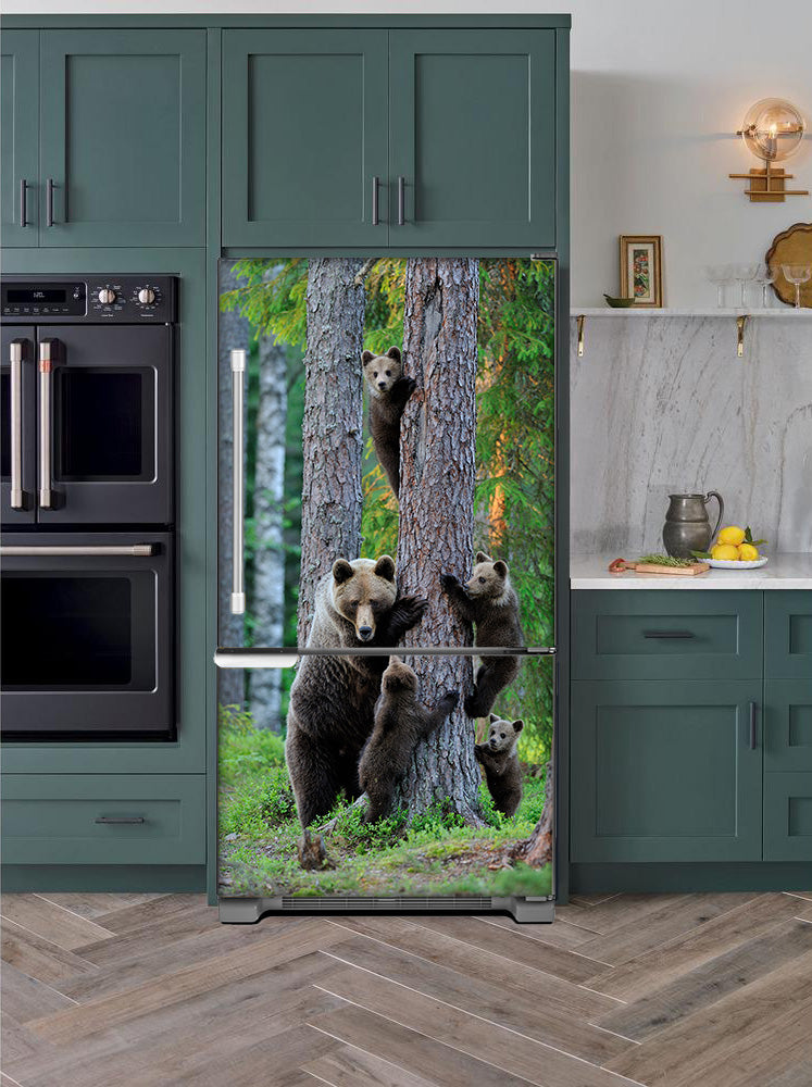 Kitchen with Evergreen Cabinets Light Color Wood Floor Bear Family Magnet Skin on Model Type Bottom Freezer Refrigerator Next to Black Double Oven