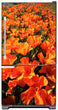 Load image into Gallery viewer, Orange Poppies Magnet Skin on Model Type Bottom Freezer Refrigerator
