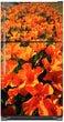 Load image into Gallery viewer, Orange Poppies Magnet Skin on Model Type Top Freezer Refrigerator
