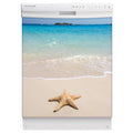 Starfish On Beach Magnet Skin on White Dishwasher